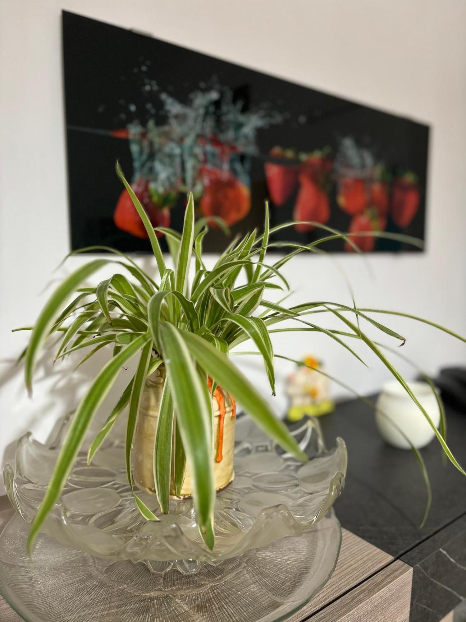 Vivi Aguilera Apartament Bologna Eksteriør billede